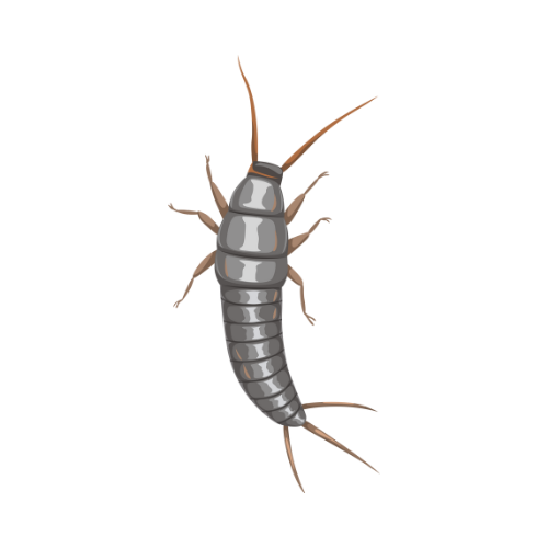 Parasitnix Düsseldorf - Kammerjäger