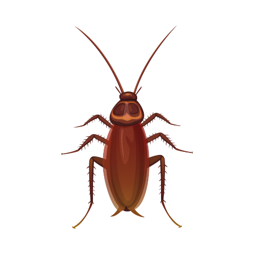 Parasitnix Düsseldorf - Kammerjäger