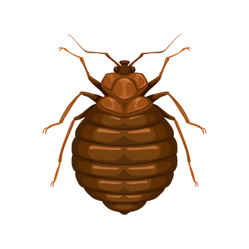 Parasitnix Düsseldorf - Kammerjäger