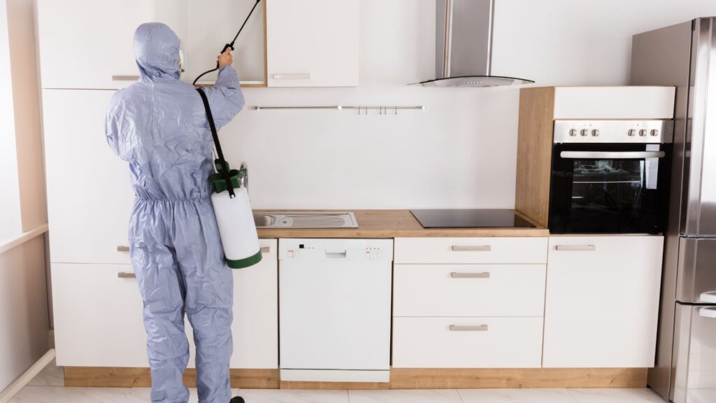 Schädlingsbefall in Düsseldorf - Schädlingsbekämpfung Düsseldorf – professionelle Bekämpfung von Ratten, Mäusen, Kakerlaken und Bettwanzen durch Parasitnix