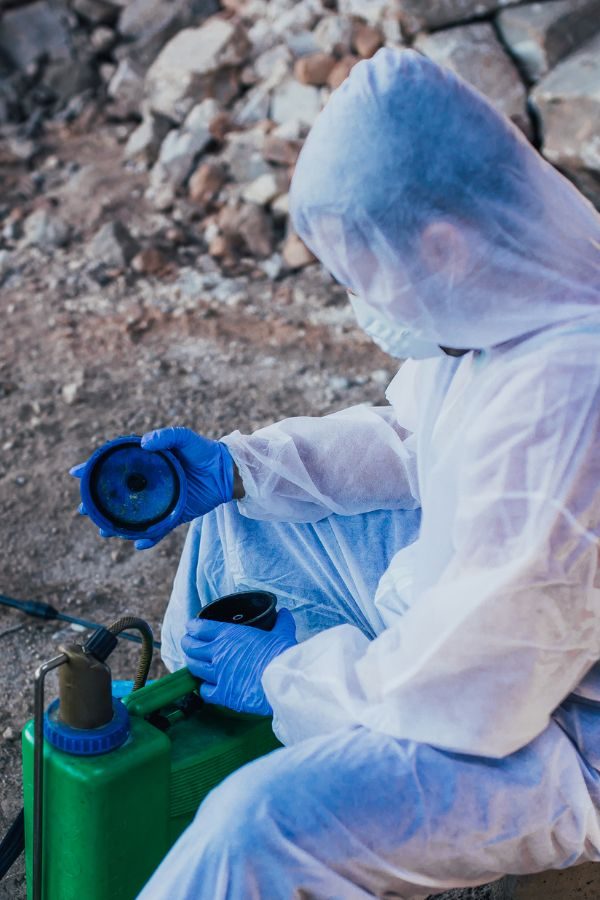 Kosten der Schädlingsbekämpfung in Düsseldorf - Parasitnix - Kammerjäger